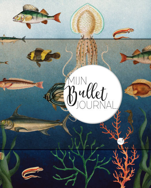 Mijn Bullet Journal></a><a href=